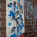 AU Melbourne 2008 439