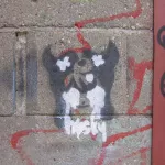CA Toronto Husky