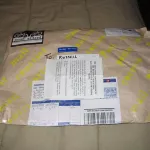 CA JanetBikeGirl mail courrier