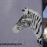 UK Brighton Whizz zebra