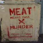 NZ Wellington Meat