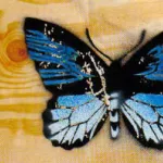 NZ Hamilton Ouch butterfly