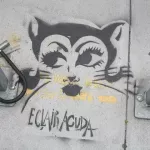 Eclair Mission cat Eclairacuda