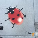 fnnch ladybug