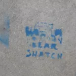 SFMiss BearSnatch