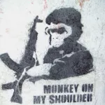 AR UY Monkey