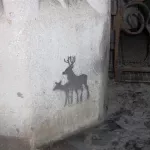 NYC Lower East Side Deer