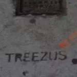 NYC TREEZUS