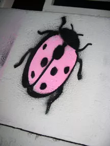 koski Melbourne Ladybug