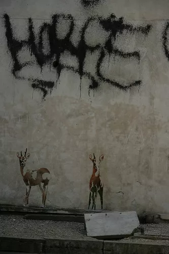 FR Paris deer