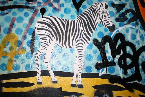 FR Paris zebra