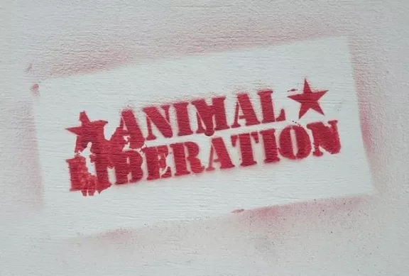 DE Hamburg Animal Liberation