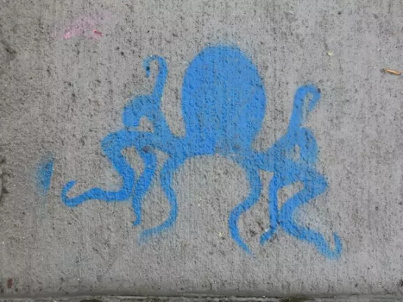 CA_Oak_Octopus