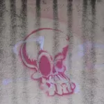 AR Buenos Aires Skull