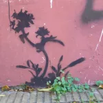 AR Buenos Aires weed