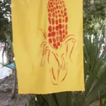 MX Cancun Corn
