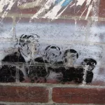AU Melbourne 2008 096