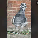 IE Dublin pigeon with hat