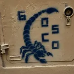 IT Rome GOSCO scorpion ph Adam K