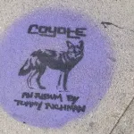 LA Coyote Advert ph BeneRegoef.