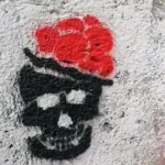 AT Vienna skull ph BeneRegoef