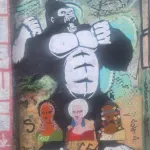 BR Sao Palo gorilla ph Amanda