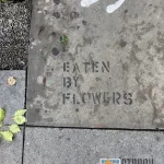 CA LA Hollywood Eaten by Flowers 01