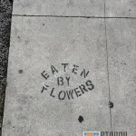 CA LA Hollywood Eaten by Flowers 02