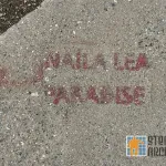 CA LA Hollywood Naila Lea advert