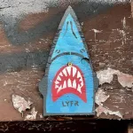 NYC LYFR shark ph J Rojo for BSA