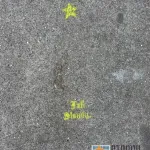SF Van Ness Star Fall Slowly