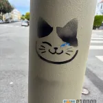 SF Marina smiling cat