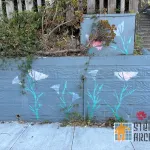 SF Mission Dist flowers
