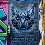 Peat EYEZ 2025 SF Clarion Alley cat