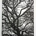Ilse Nieman tree