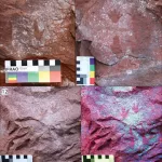 AU Limmen NP track motifs ph Flinders Uni
