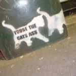 Crack Punk AU Sydney cats ass