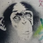 CA Toronto monkey