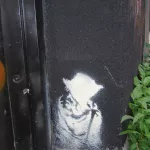 CA Toronto Star Wars Yoda