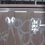 CA Toronto Bunny