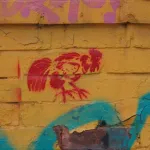 CA Toronto Rooster