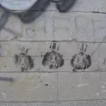 CA Toronto Skeletons
