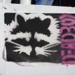 CA Toronto DEADBOY raccoon sticker