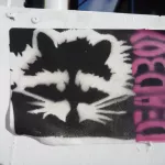 Deadboy Toronto raccoon sticker