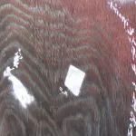 Man At A Computer 04