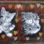 A Inside Heart cliff road cats