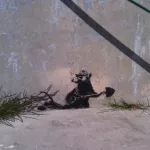 Banksy SF Alcatraz