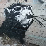 Banksy Toronto CA goggle rat