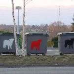 FRThonon Goin Sheep