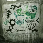 INS skins sever zid